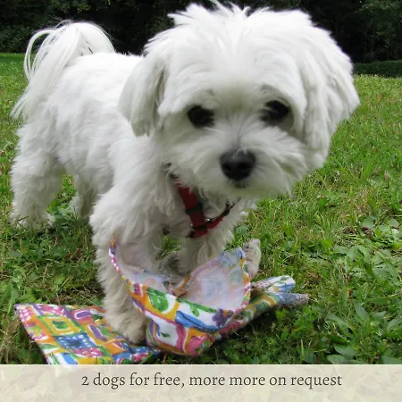 Valerie - Muehlei Alterbachstr 9 Apartment